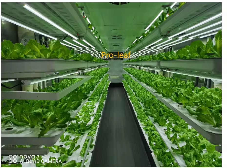 f المعدات الزراعية الدفيئة تنم - مراجعة Farming Agriculture Equipment وسعره