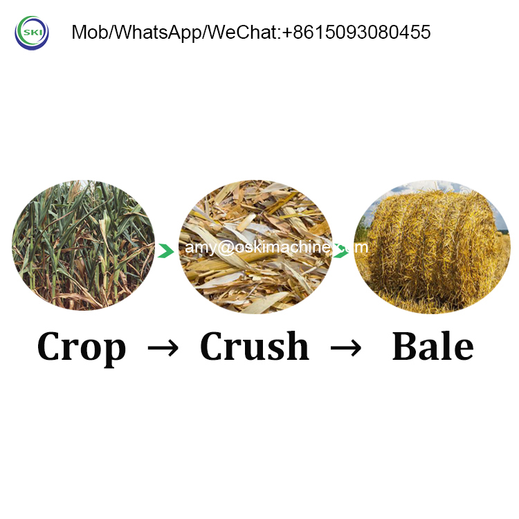 آلة تغليف السيلاج الأوتوماتيكي - مراجعة Silage Baler Machine وسعره