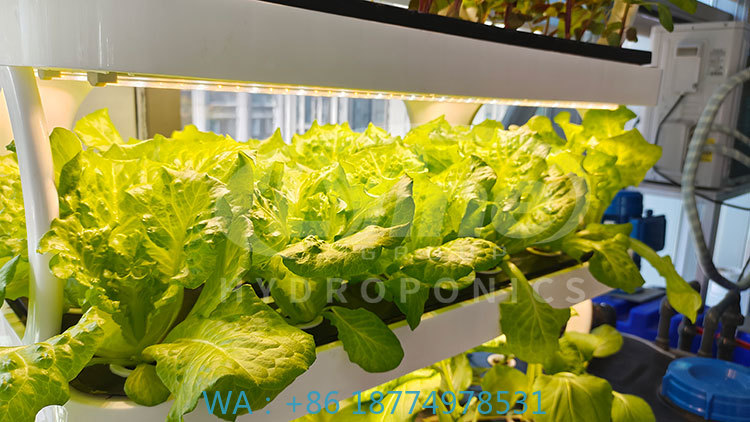 ج آلة الزراعة لزراعة الخضار ال - مراجعة Farming Agriculture Equipment وسعره